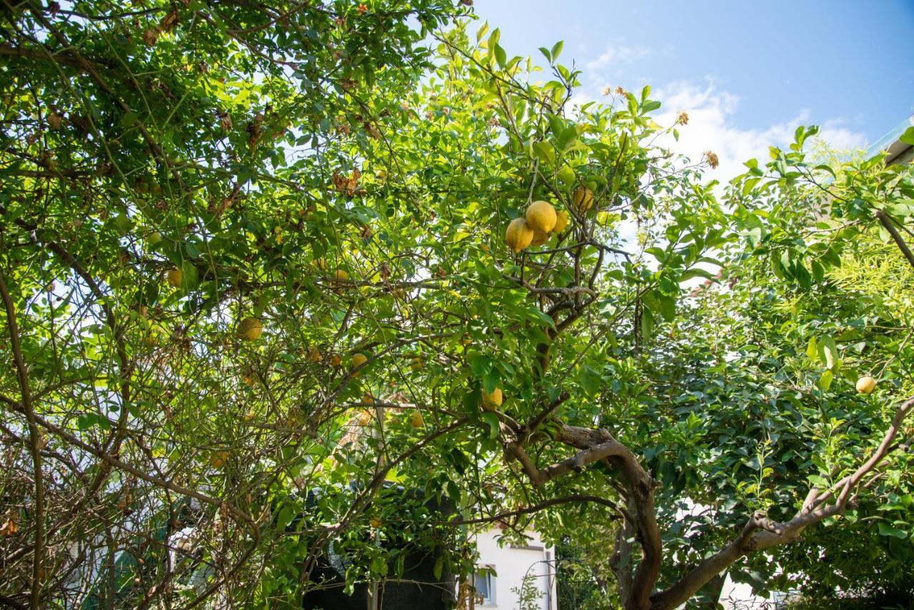 Maison Twentyfive Ischia